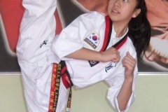 Hajin-Kick